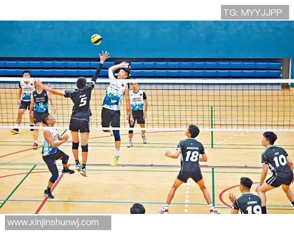 排球速度排名:上海排球队创新高