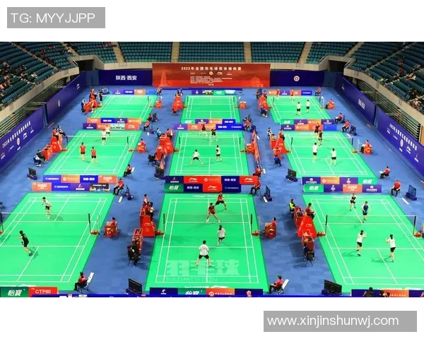 羽毛球战术排行榜揭晓西安羽毛球队荣获第十名成就辉煌
